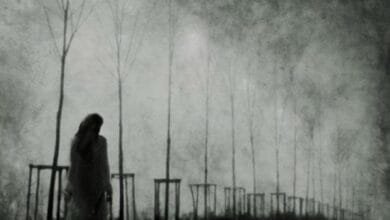 حين يبكي الحبر