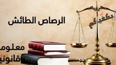 الرصاص الطائش