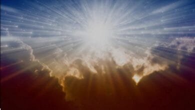 رحلة نحو النور