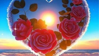 خواطر اليوم: أزهر في القلبِ فرحًا...