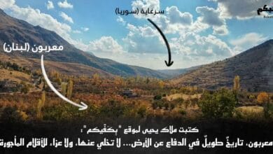 معربون، سرغايا وأطراف للفتنة!