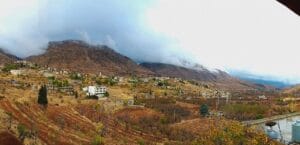 معربون، سرغايا وأطراف للفتنة!