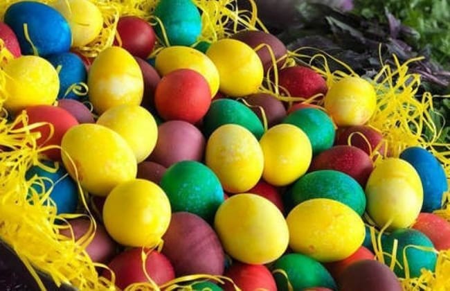 وصفة اليوم من "صحتي بصحني" ... "تلوين بيض العيد" مع هدى منذر