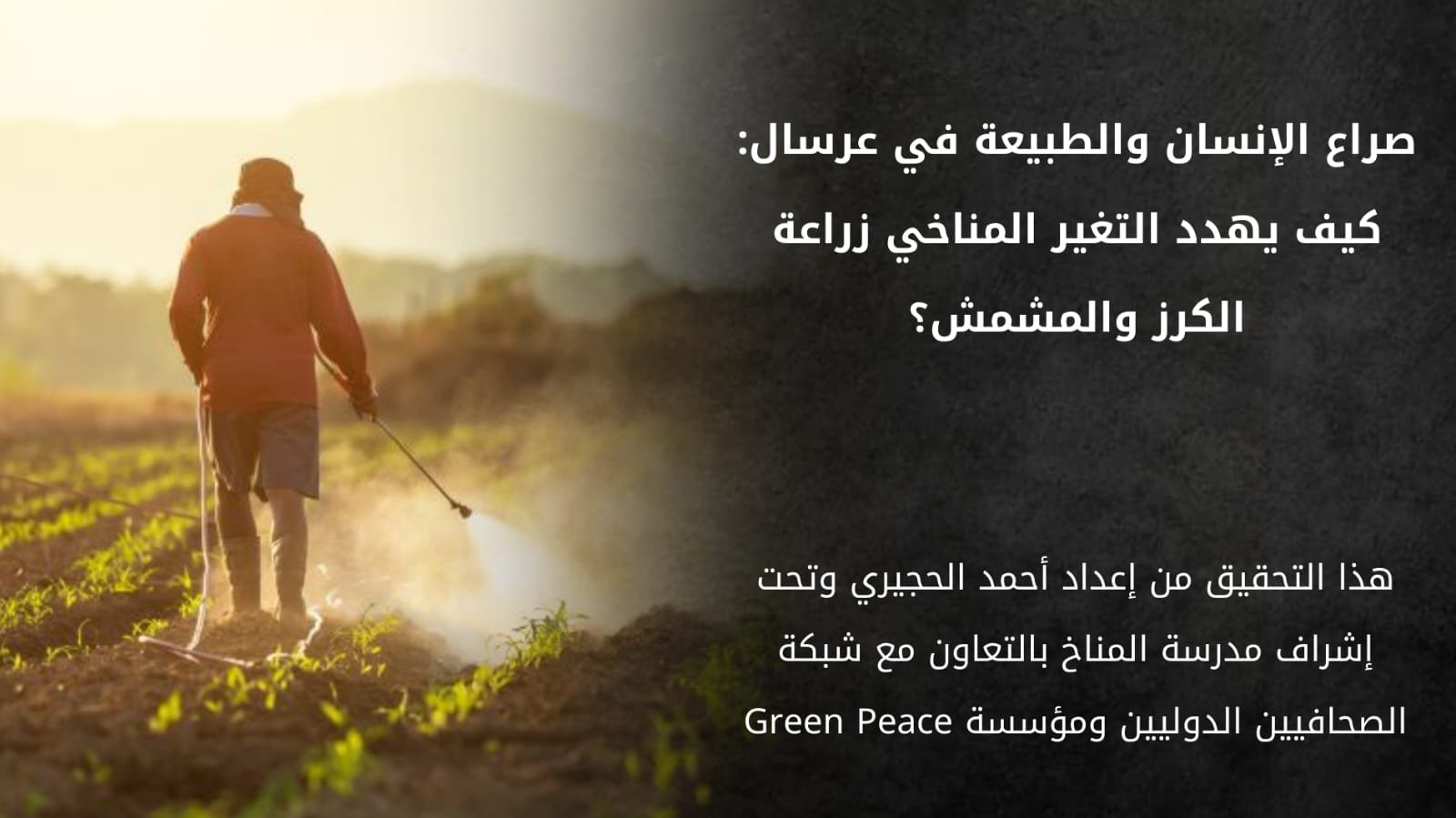 صراع الإنسان والطبيعة في عرسال: كيف يهدد التغير المناخي زراعة الكرز والمشمش؟