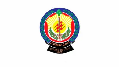 امن الدولة بكفيكم