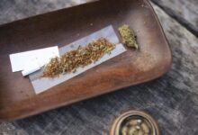 دراسة جديدة تكشف أن الجمع بين القنب والتبغ قد يؤدي إلى تغييرات في كيمياء الدماغ، تزيد خطر الإدمان والمشكلات النفسية أكثر من استخدام القنب وحده.