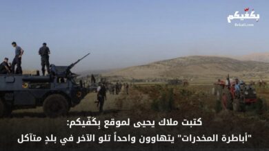 عدوّان للجيش على الحدود وفي الداخل